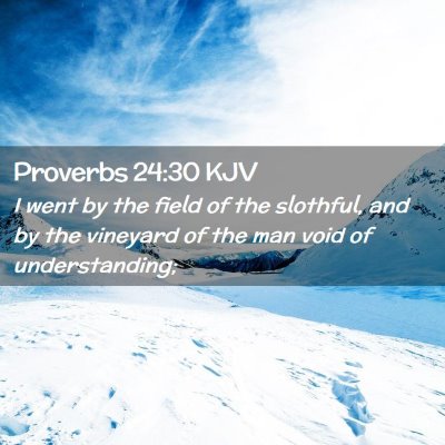 Picture 02 - Proverbs 24:30 KJV - I went by the field of the slothful, and by the - Bible Verse Picture