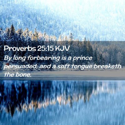 Picture 02 - Proverbs 25:15 KJV - By long forbearing is a prince persuaded, and a - Bible Verse Picture
