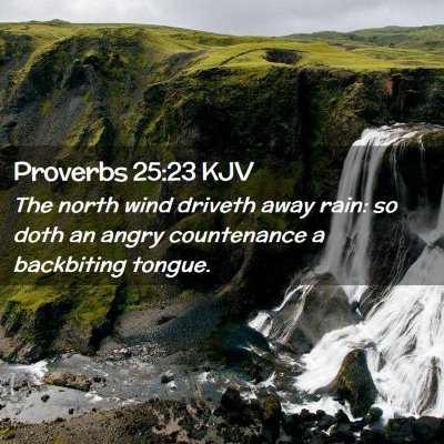 Picture 02 - Proverbs 25:23 KJV - The north wind driveth away rain: so doth an - Bible Verse Picture