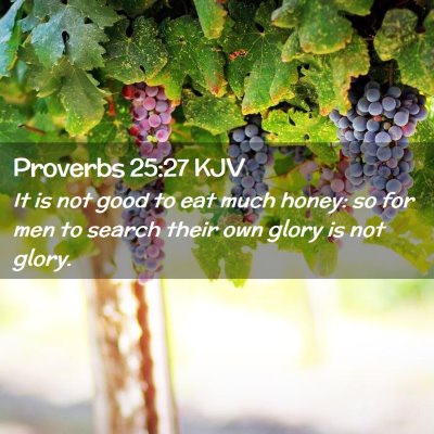 Picture 02 - Proverbs 25:27 KJV - It is not good to eat much honey: so for men to - Bible Verse Picture