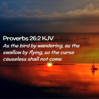 Picture 02 - Proverbs 26:2 KJV - As the bird by wandering, as the swallow by - Bible Verse Picture