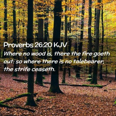 Picture 02 - Proverbs 26:20 KJV - Where no wood is, there the fire goeth out: so - Bible Verse Picture