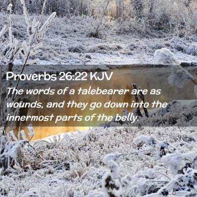 Picture 02 - Proverbs 26:22 KJV - The words of a talebearer are as wounds, and they - Bible Verse Picture