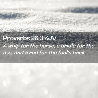 Picture 02 - Proverbs 26:3 KJV - A whip for the horse, a bridle for the ass, and a - Bible Verse Picture