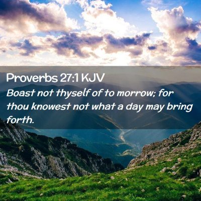 Picture 02 - Proverbs 27:1 KJV - Boast not thyself of to morrow; for thou knowest - Bible Verse Picture