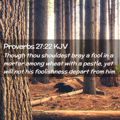 Picture 02 - Proverbs 27:22 KJV - Though thou shouldest bray a fool in a mortar - Bible Verse Picture