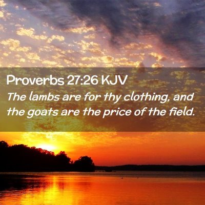 Picture 02 - Proverbs 27:26 KJV - The lambs are for thy clothing, and the goats are - Bible Verse Picture