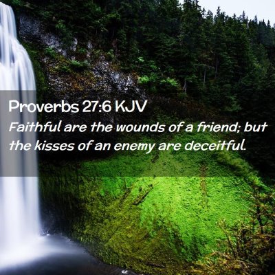Picture 02 - Proverbs 27:6 KJV - Faithful are the wounds of a friend; but the - Bible Verse Picture