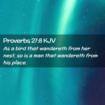 Picture 02 - Proverbs 27:8 KJV - As a bird that wandereth from her nest, so is a - Bible Verse Picture