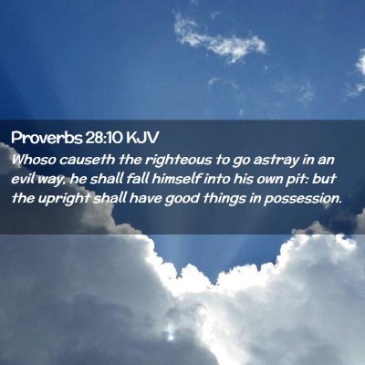 Picture 02 - Proverbs 28:10 KJV - Whoso causeth the righteous to go astray in an - Bible Verse Picture