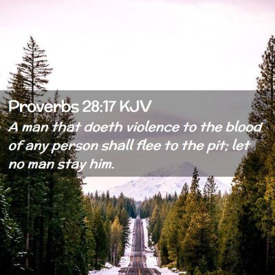 Picture 02 - Proverbs 28:17 KJV - A man that doeth violence to the blood of any - Bible Verse Picture