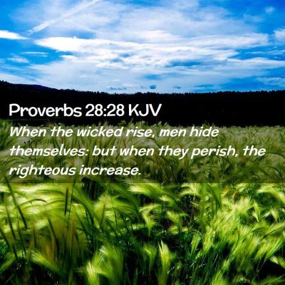 Picture 02 - Proverbs 28:28 KJV - When the wicked rise, men hide themselves: but - Bible Verse Picture