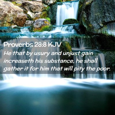 Picture 02 - Proverbs 28:8 KJV - He that by usury and unjust gain increaseth his - Bible Verse Picture