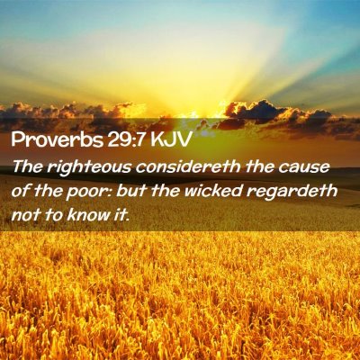 Picture 02 - Proverbs 29:7 KJV - The righteous considereth the cause of the poor: - Bible Verse Picture