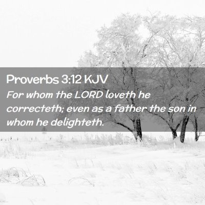 Picture 02 - Proverbs 3:12 KJV - For whom the LORD loveth he correcteth; even as a - Bible Verse Picture