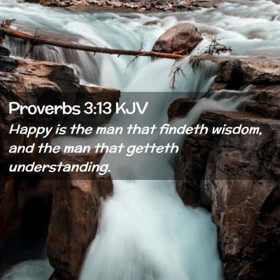 Picture 02 - Proverbs 3:13 KJV - Happy is the man that findeth wisdom, and the man - Bible Verse Picture