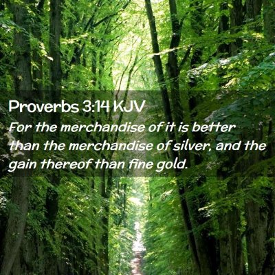 Picture 02 - Proverbs 3:14 KJV - For the merchandise of it is better than the - Bible Verse Picture