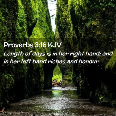Picture 02 - Proverbs 3:16 KJV - Length of days is in her right hand; and in her - Bible Verse Picture