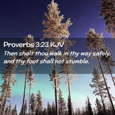 Picture 02 - Proverbs 3:23 KJV - Then shalt thou walk in thy way safely, and thy - Bible Verse Picture
