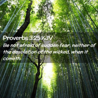 Picture 02 - Proverbs 3:25 KJV - Be not afraid of sudden fear, neither of the - Bible Verse Picture