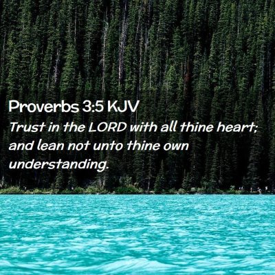 Picture 02 - Proverbs 3:5 KJV - Trust in the LORD with all thine heart; and lean - Bible Verse Picture