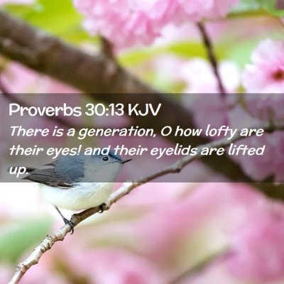 Picture 02 - Proverbs 30:13 KJV - There is a generation, O how lofty are their - Bible Verse Picture