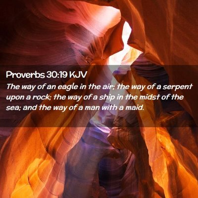 Picture 02 - Proverbs 30:19 KJV - The way of an eagle in the air; the way of a - Bible Verse Picture