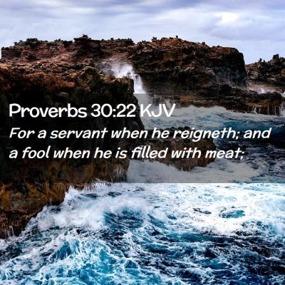 Picture 02 - Proverbs 30:22 KJV - For a servant when he reigneth; and a fool when - Bible Verse Picture