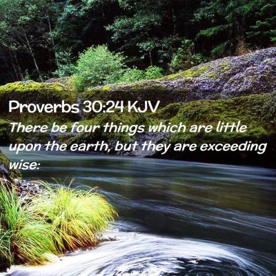 Picture 02 - Proverbs 30:24 KJV - There be four things which are little upon the - Bible Verse Picture