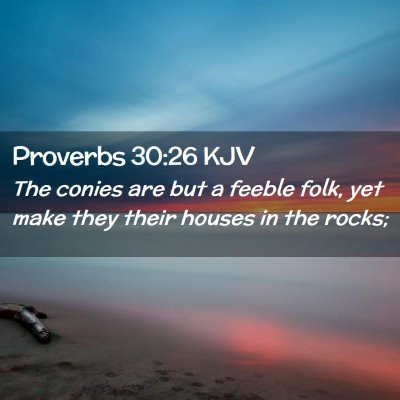 Picture 02 - Proverbs 30:26 KJV - The conies are but a feeble folk, yet make they - Bible Verse Picture