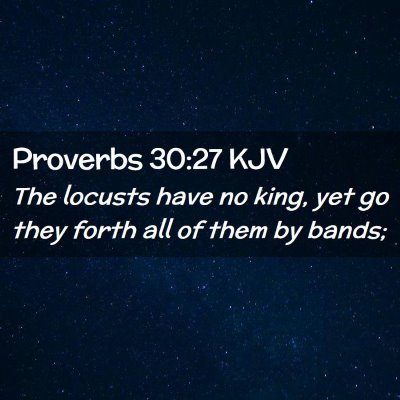 Picture 02 - Proverbs 30:27 KJV - The locusts have no king, yet go they forth all - Bible Verse Picture