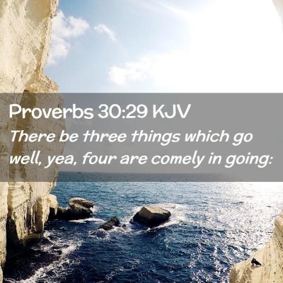 Picture 02 - Proverbs 30:29 KJV - There be three things which go well, yea, four - Bible Verse Picture