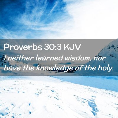 Picture 02 - Proverbs 30:3 KJV - I neither learned wisdom, nor have the knowledge - Bible Verse Picture