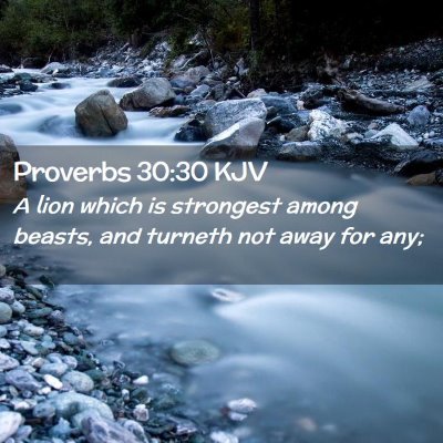 Picture 02 - Proverbs 30:30 KJV - A lion which is strongest among beasts, and - Bible Verse Picture
