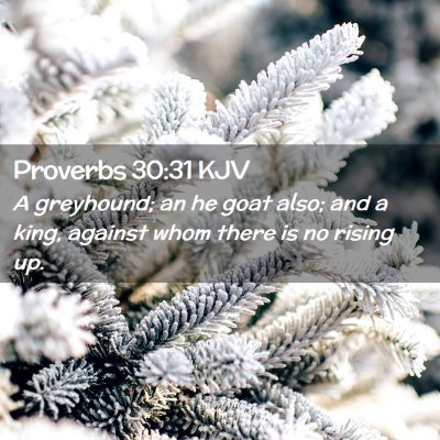 Picture 02 - Proverbs 30:31 KJV - A greyhound; an he goat also; and a king, against - Bible Verse Picture