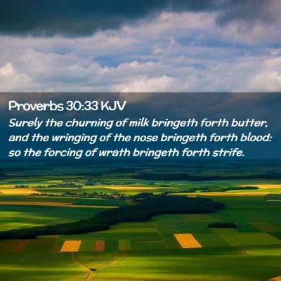 Picture 02 - Proverbs 30:33 KJV - Surely the churning of milk bringeth forth - Bible Verse Picture