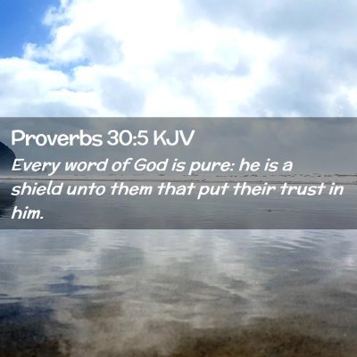 Picture 02 - Proverbs 30:5 KJV - Every word of God is pure: he is a shield unto - Bible Verse Picture