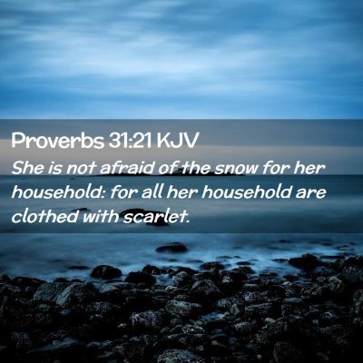 Picture 02 - Proverbs 31:21 KJV - She is not afraid of the snow for her household: - Bible Verse Picture