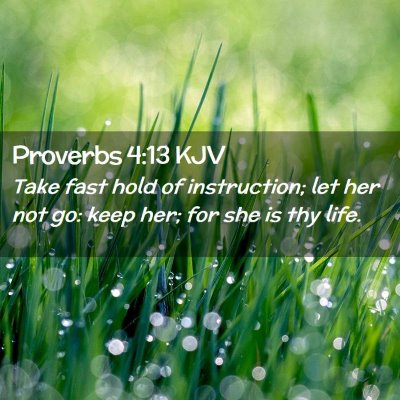 Picture 02 - Proverbs 4:13 KJV - Take fast hold of instruction; let her not go: - Bible Verse Picture