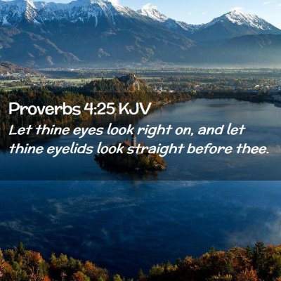 Picture 02 - Proverbs 4:25 KJV - Let thine eyes look right on, and let thine - Bible Verse Picture