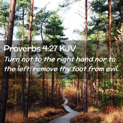 Picture 02 - Proverbs 4:27 KJV - Turn not to the right hand nor to the left: - Bible Verse Picture