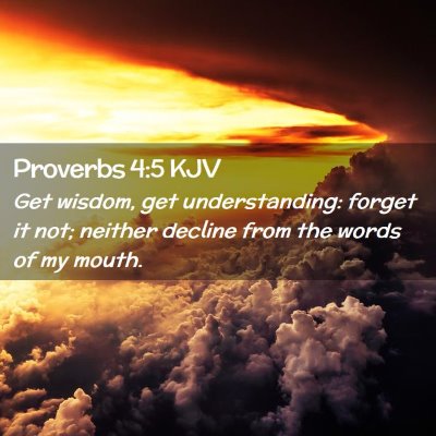 Picture 02 - Proverbs 4:5 KJV - Get wisdom, get understanding: forget it not; - Bible Verse Picture