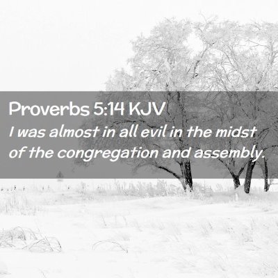 Picture 02 - Proverbs 5:14 KJV - I was almost in all evil in the midst of the - Bible Verse Picture