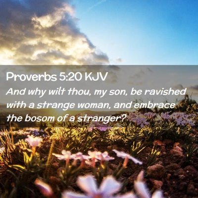 Picture 02 - Proverbs 5:20 KJV - And why wilt thou, my son, be ravished with a - Bible Verse Picture