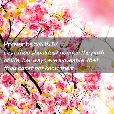 Picture 02 - Proverbs 5:6 KJV - Lest thou shouldest ponder the path of life, her - Bible Verse Picture