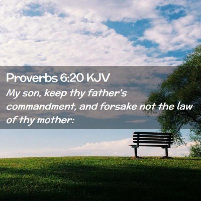 Picture 02 - Proverbs 6:20 KJV - My son, keep thy father's commandment, and - Bible Verse Picture