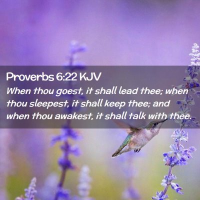 Picture 02 - Proverbs 6:22 KJV - When thou goest, it shall lead thee; when thou - Bible Verse Picture