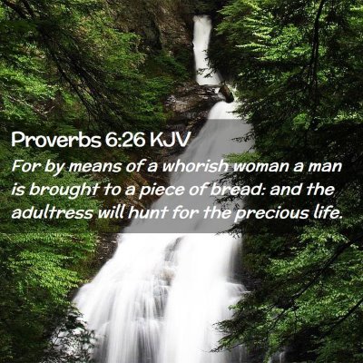 Picture 02 - Proverbs 6:26 KJV - For by means of a whorish woman a man is brought - Bible Verse Picture