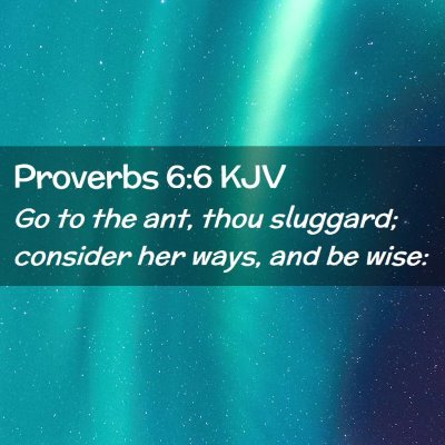 Picture 02 - Proverbs 6:6 KJV - Go to the ant, thou sluggard; consider her ways, - Bible Verse Picture