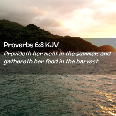 Picture 02 - Proverbs 6:8 KJV - Provideth her meat in the summer, and gathereth - Bible Verse Picture